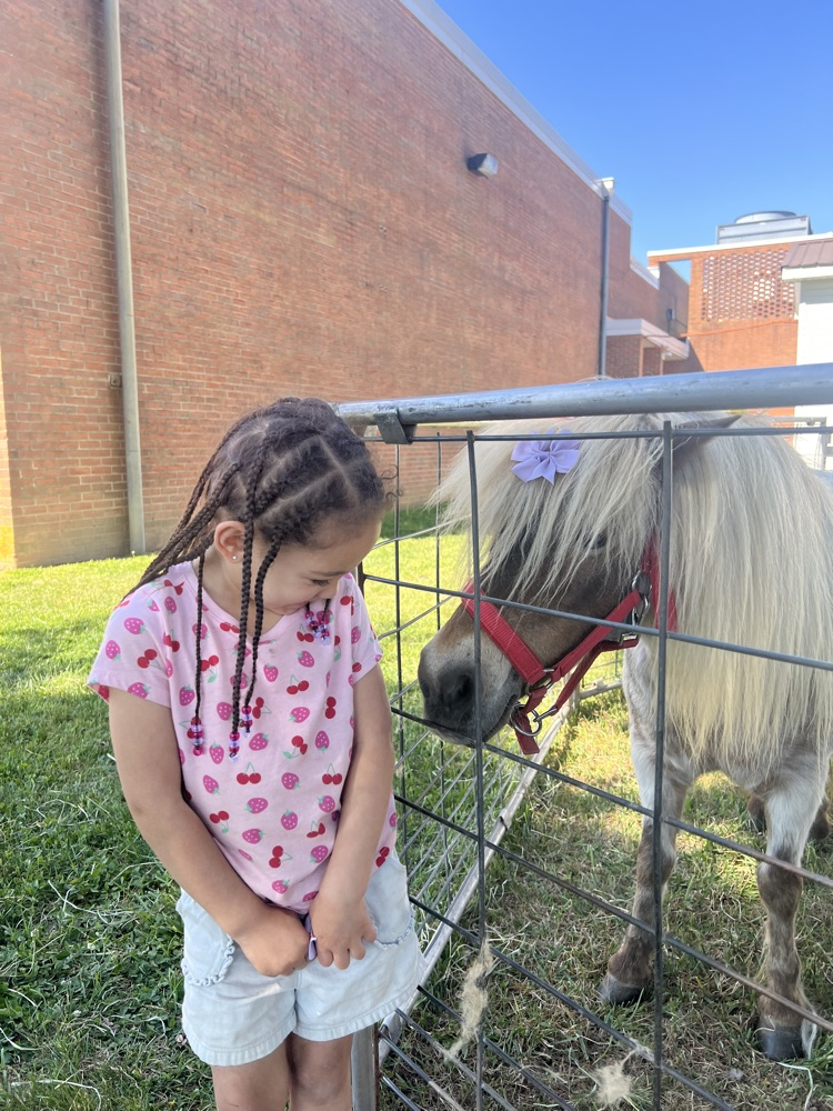 student and animals