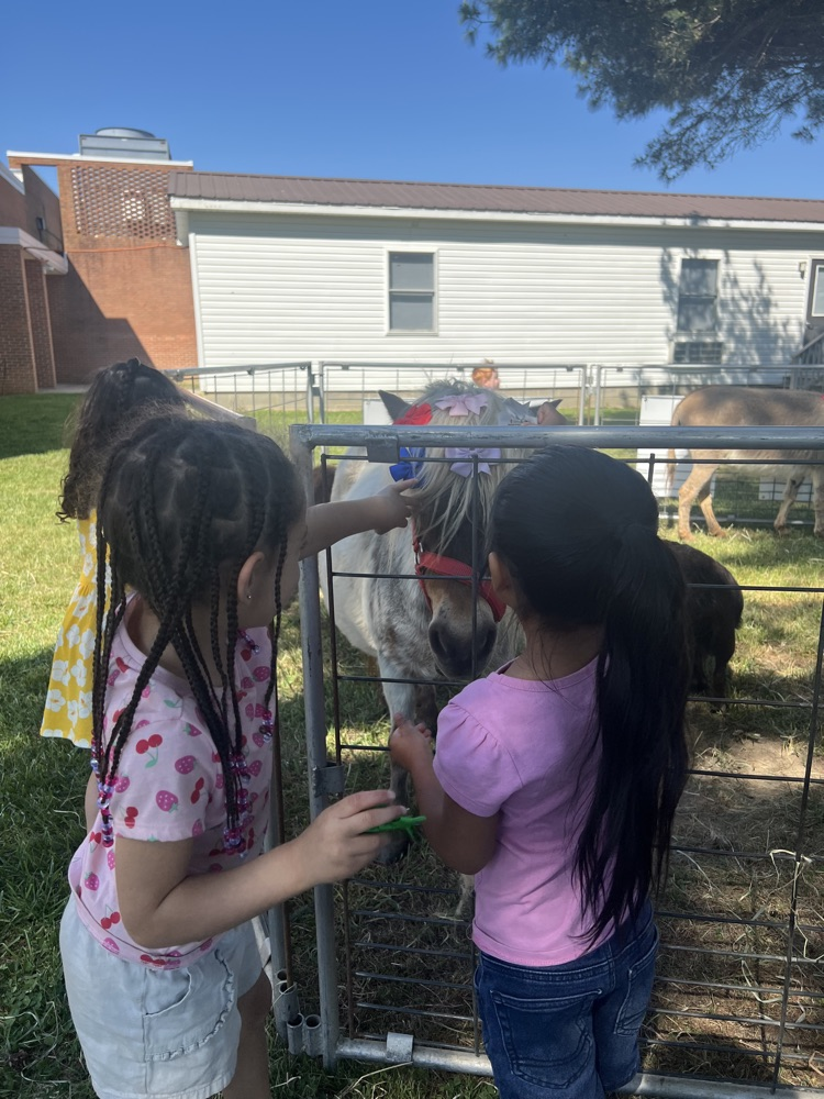 students and animals