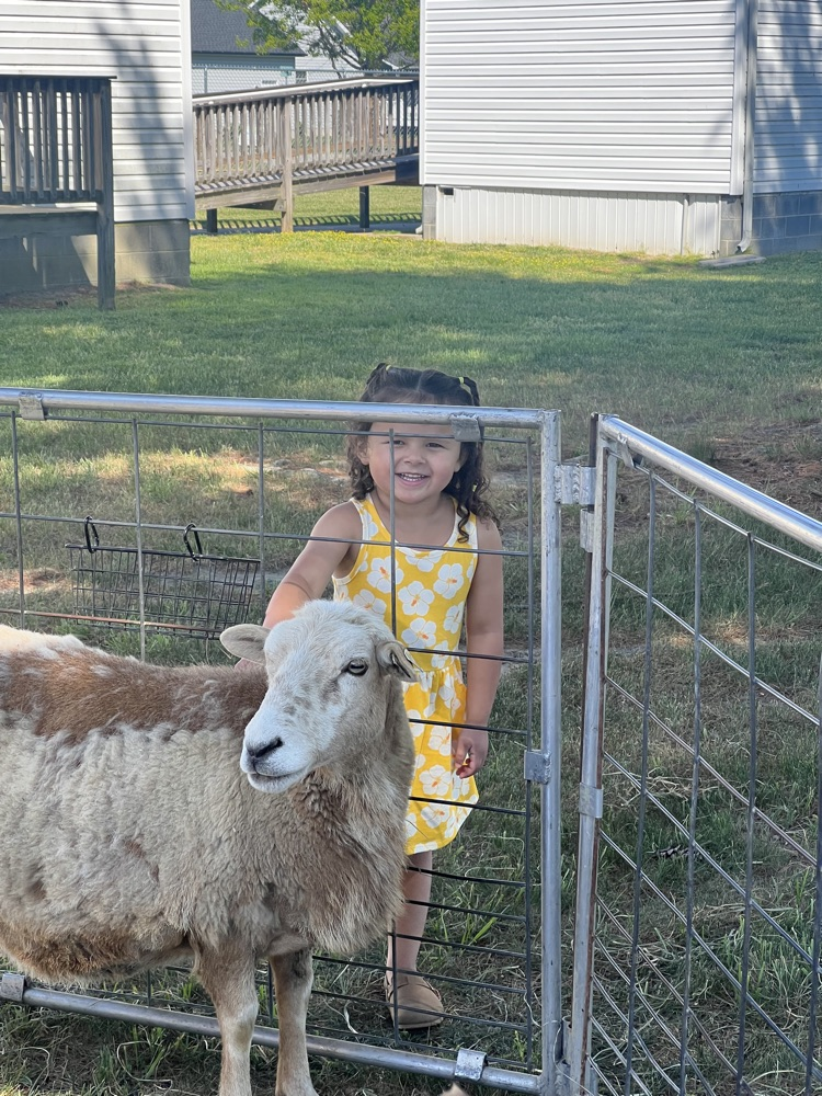 student and animals