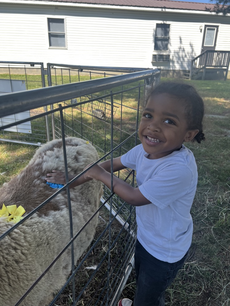 student and animals