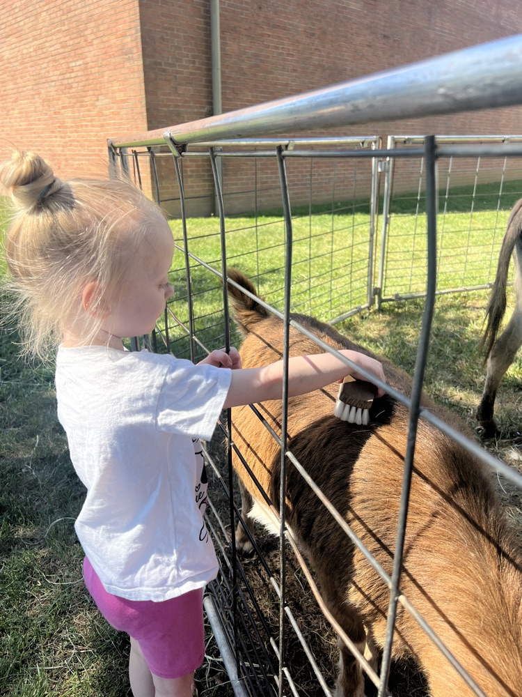 student and animals
