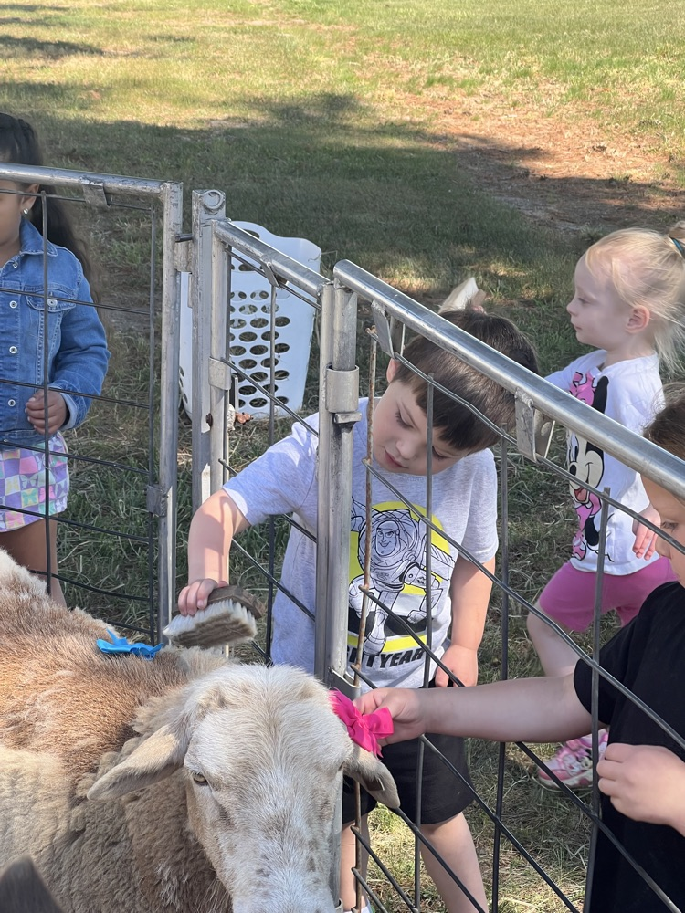 students and animals