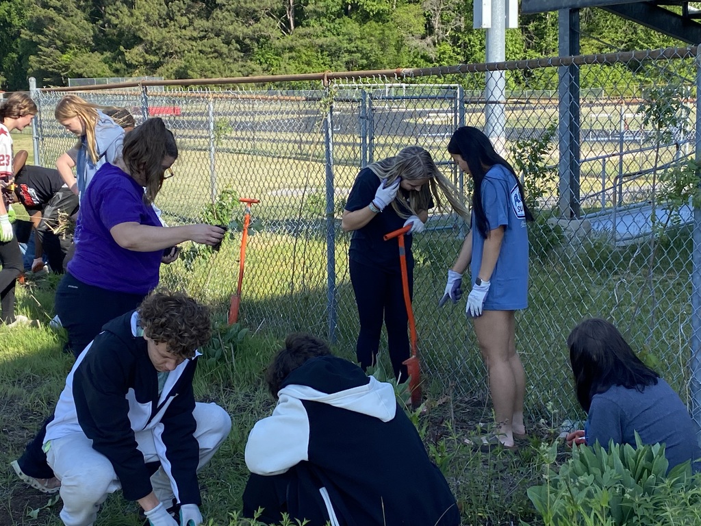 Planting Flowers