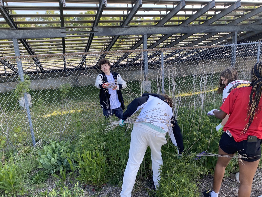 Planting Flowers