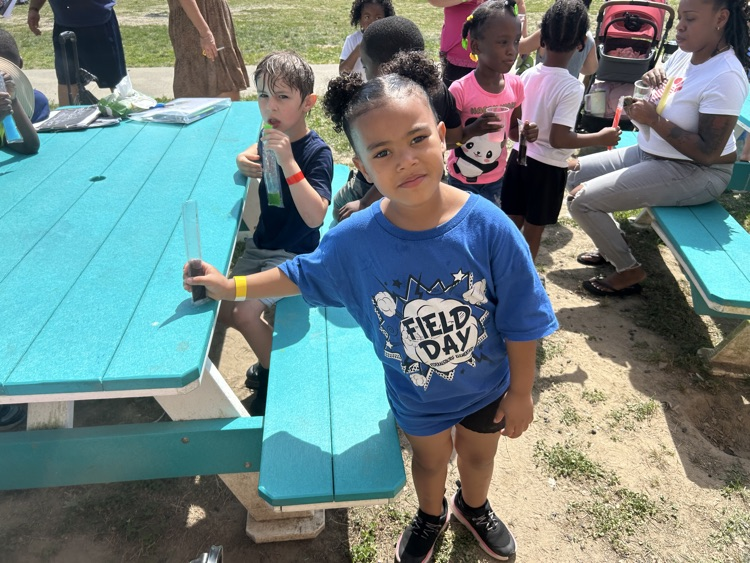 field day 