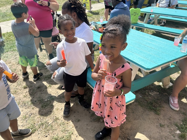 field day 