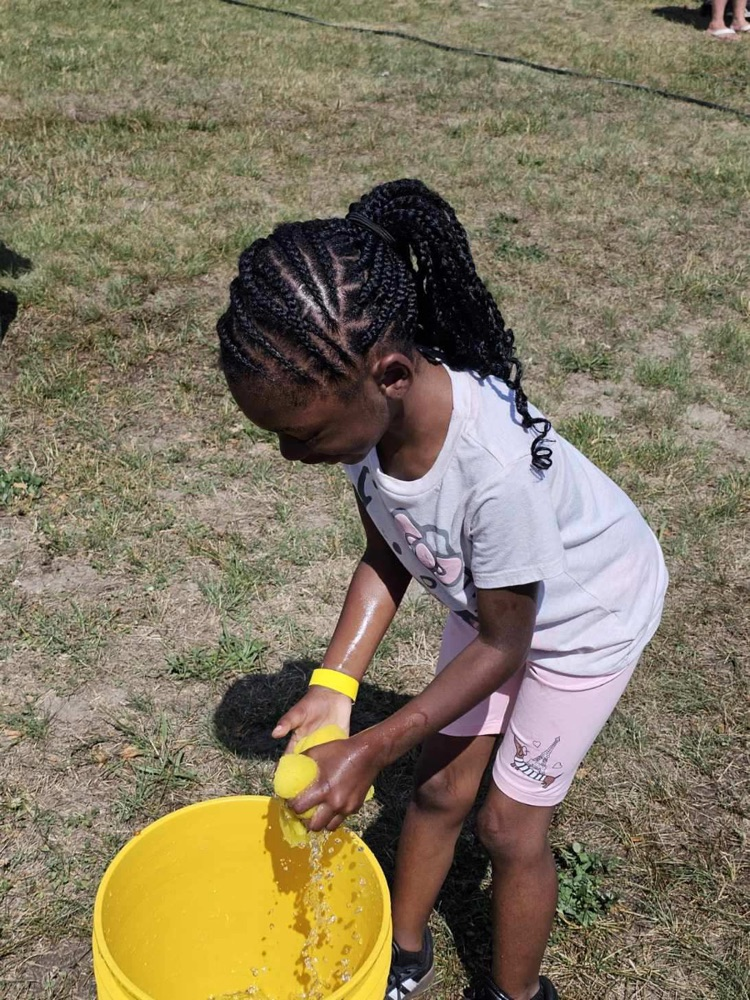 field day 
