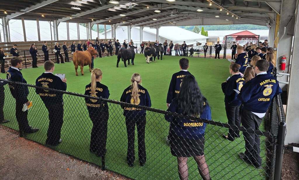 FFA