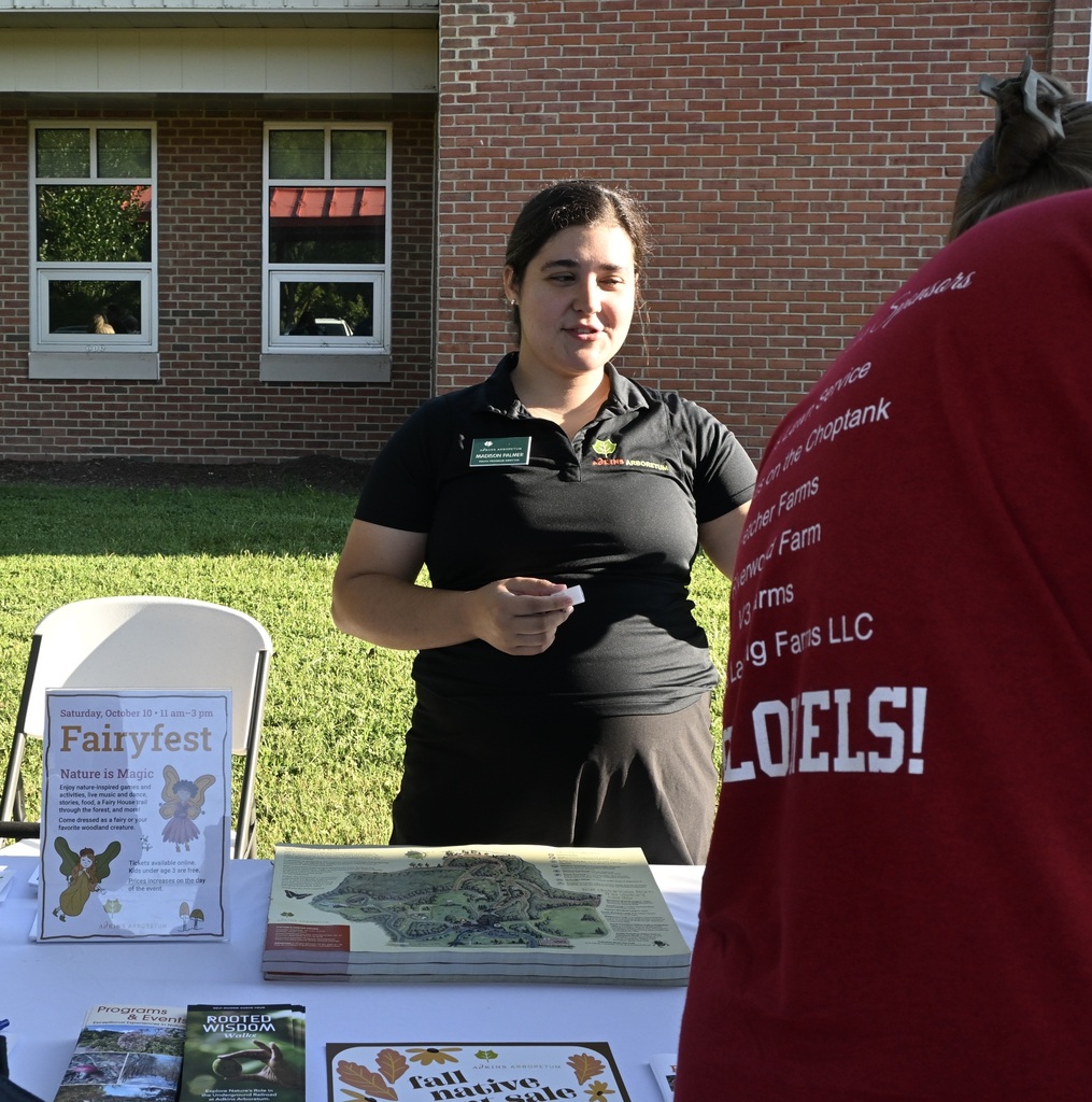 vendor