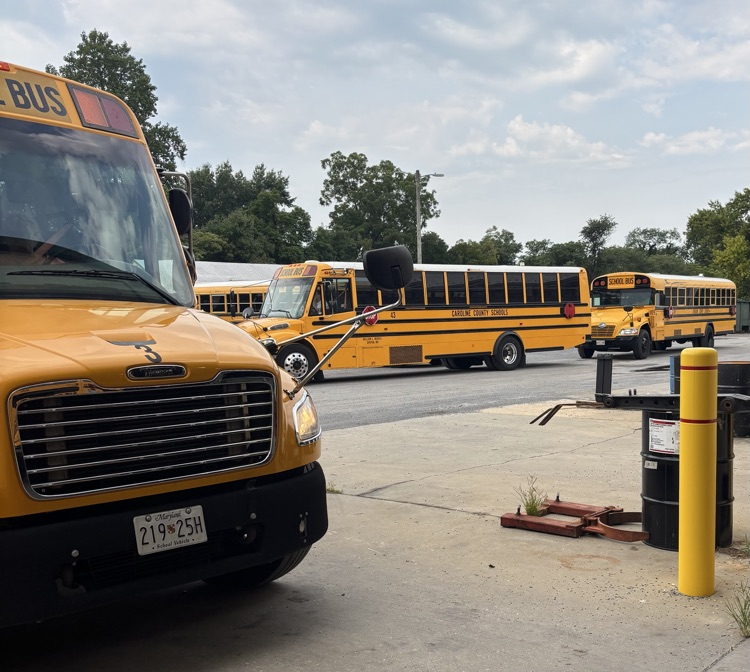 buses
