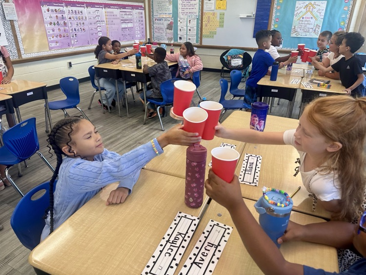 student activity 