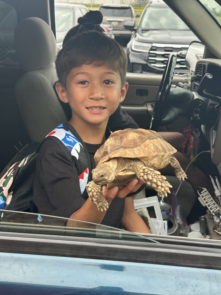 student with tortoise 