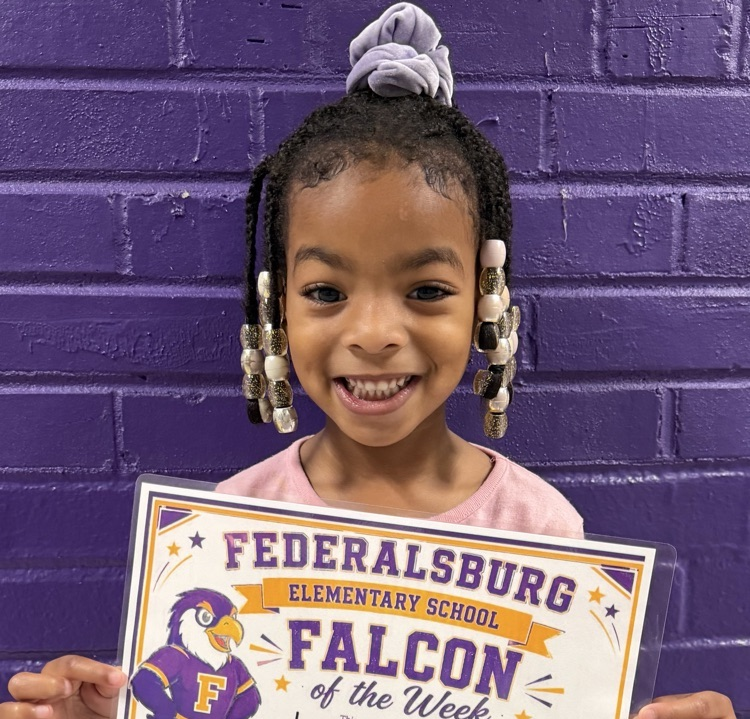 falcon of the week