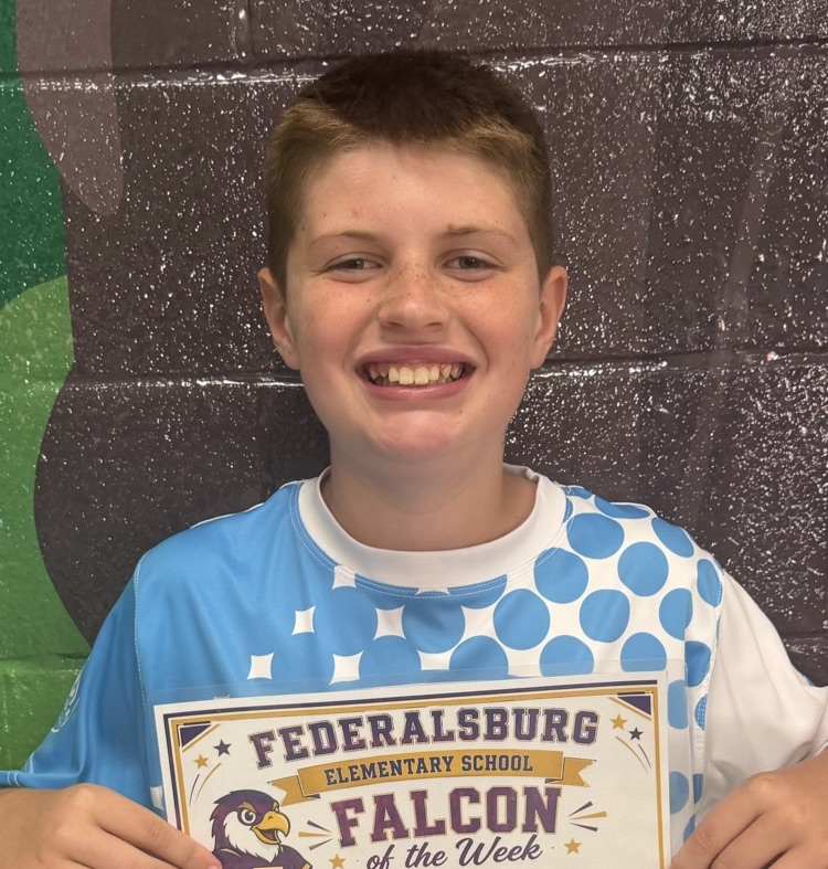 falcon of the week