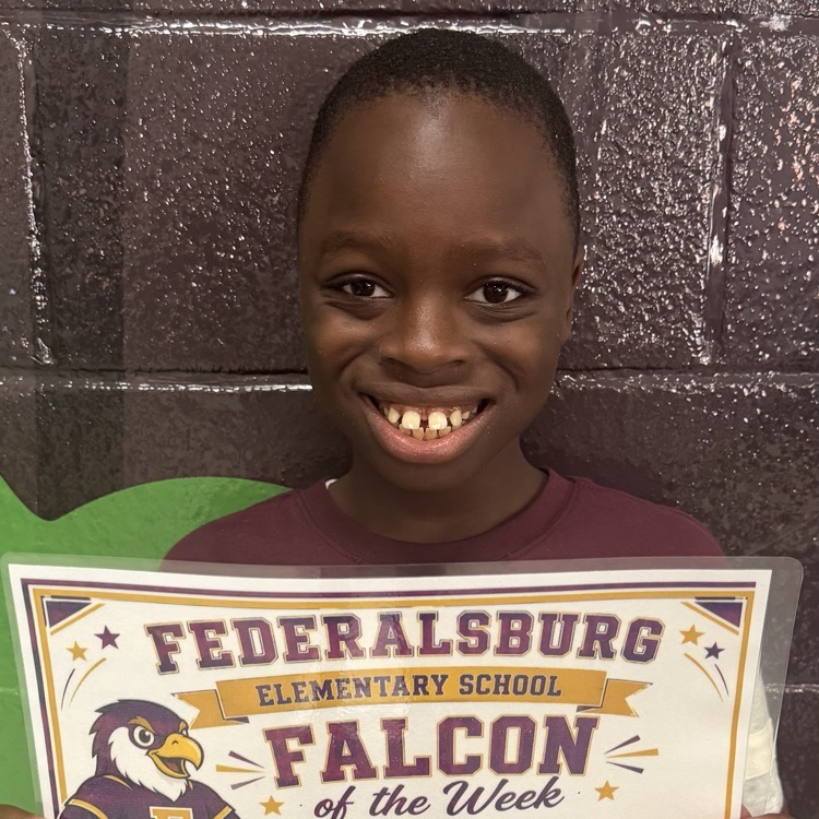 falcon of the week