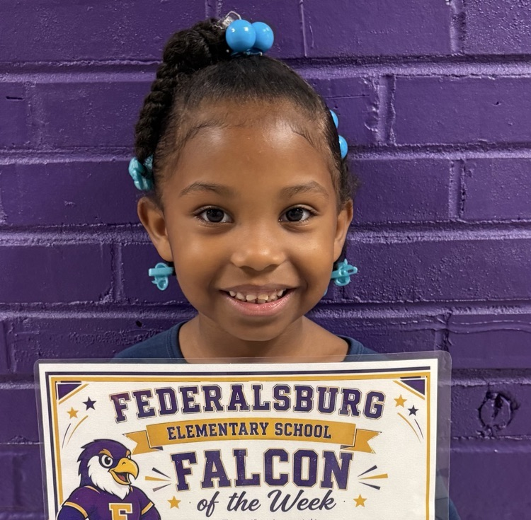 falcon of the week