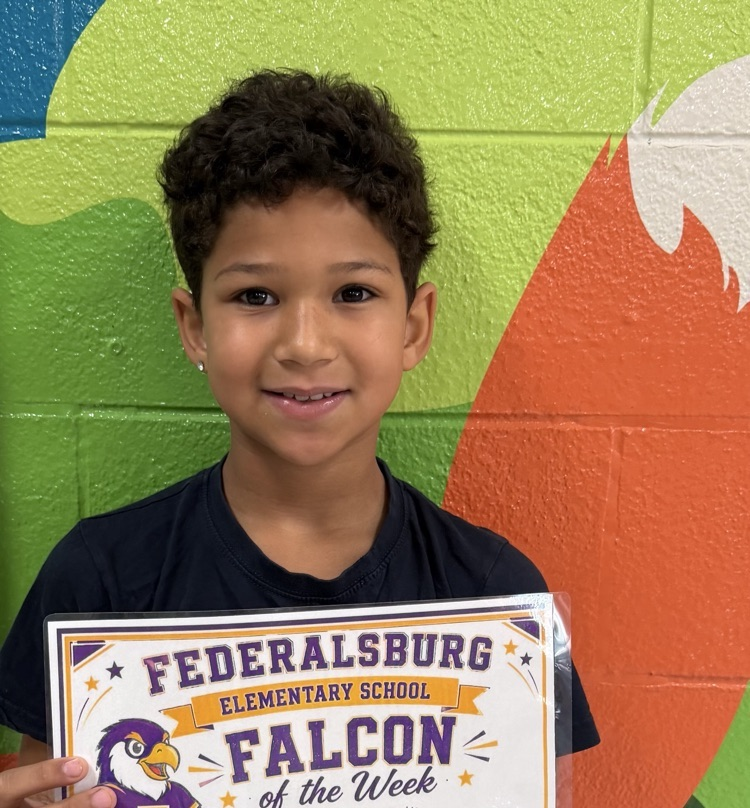 falcon of the week