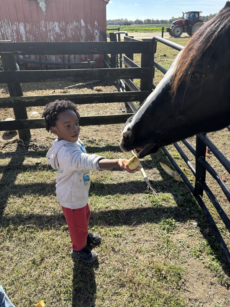 farm trip