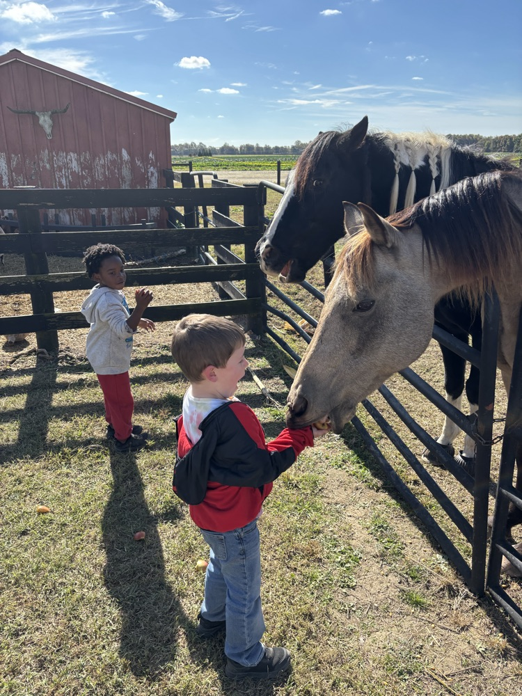 farm trip