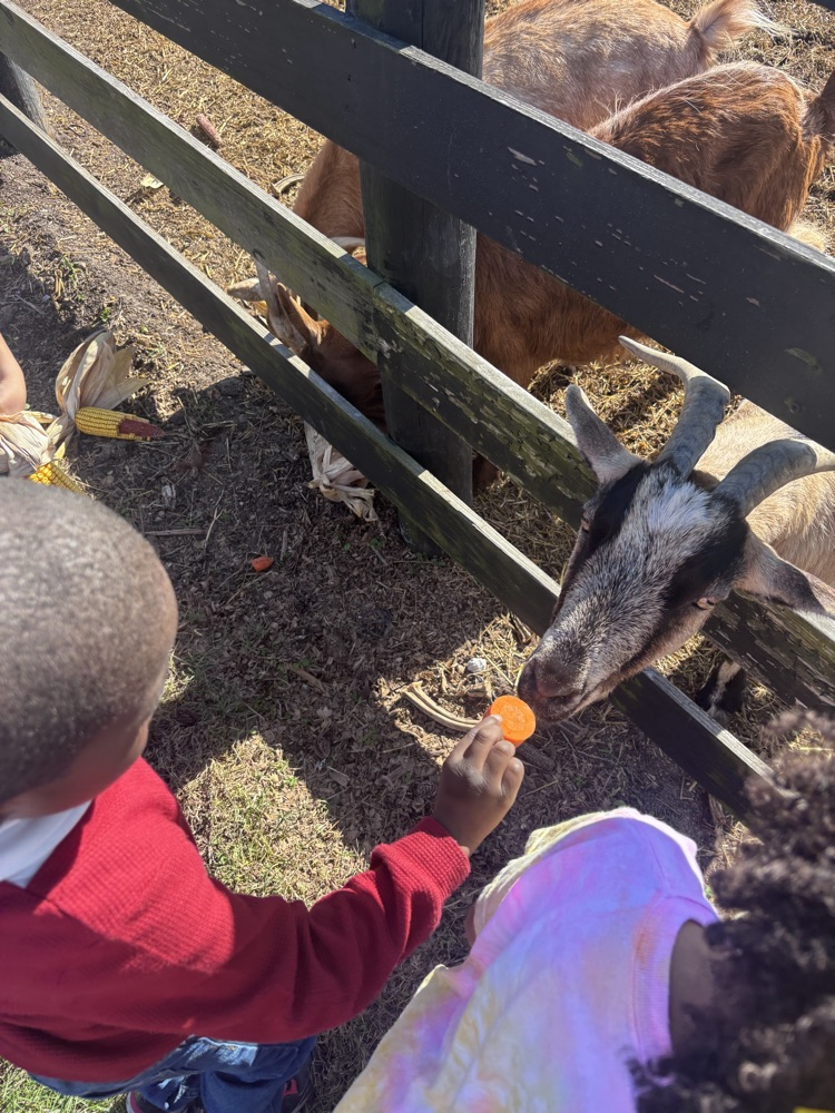 farm trip