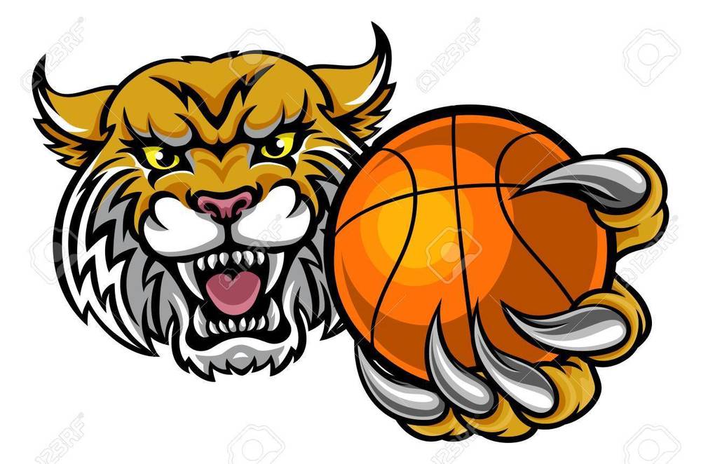 Wildcat Basketball