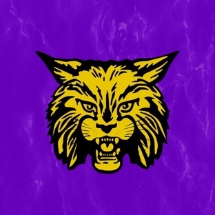 CMSF Wildcat