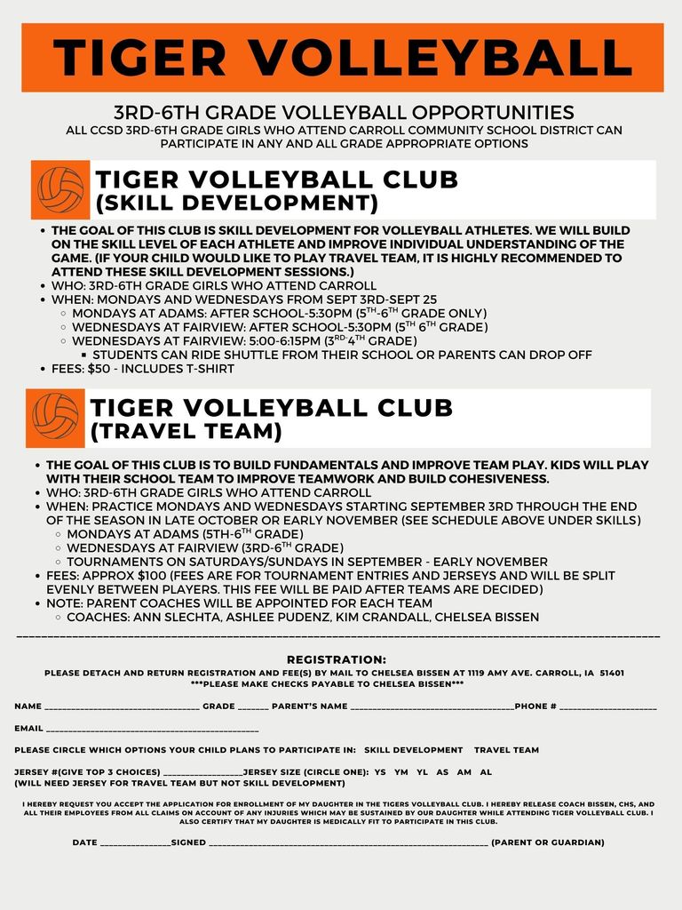 Youth Volleyball 