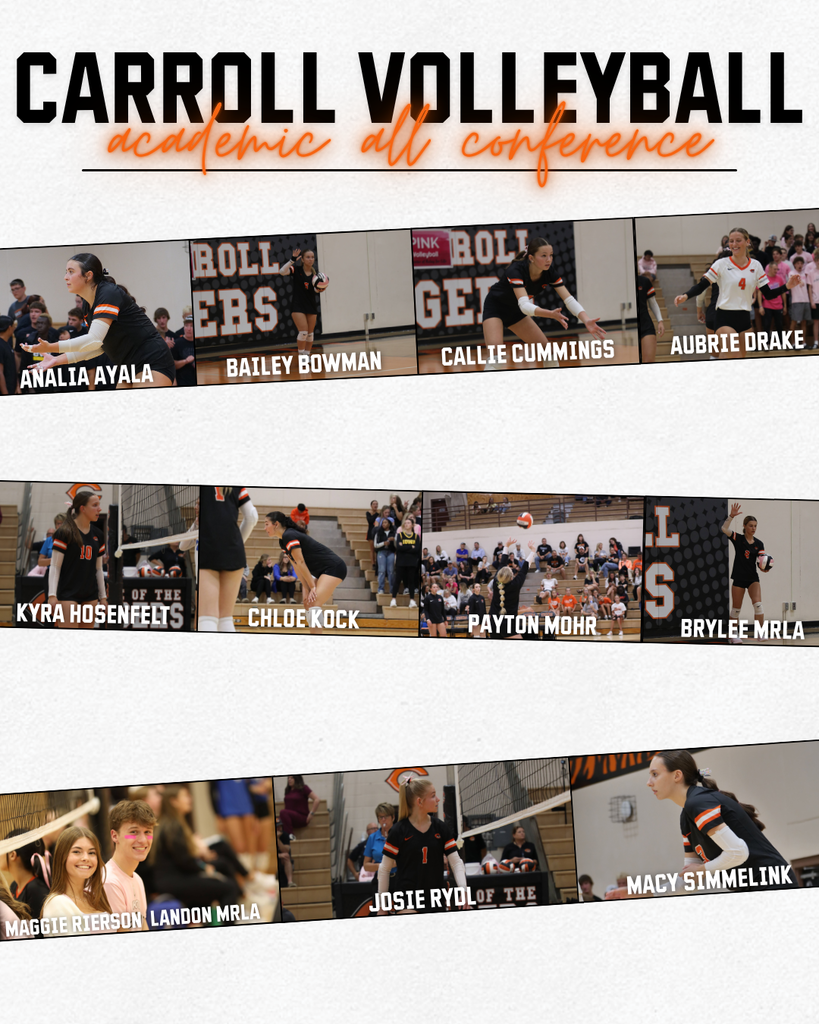 Academic All Conference VB