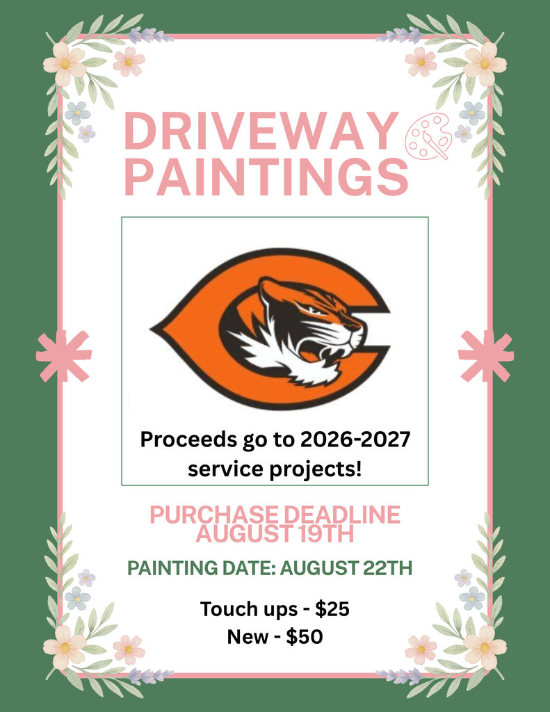 Driveway painting