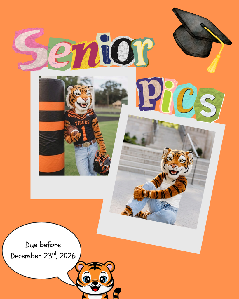 Senior Photos