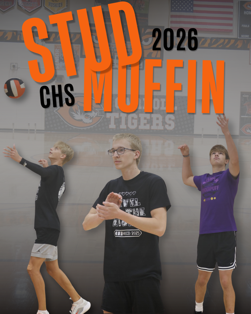 Studmuffin VB