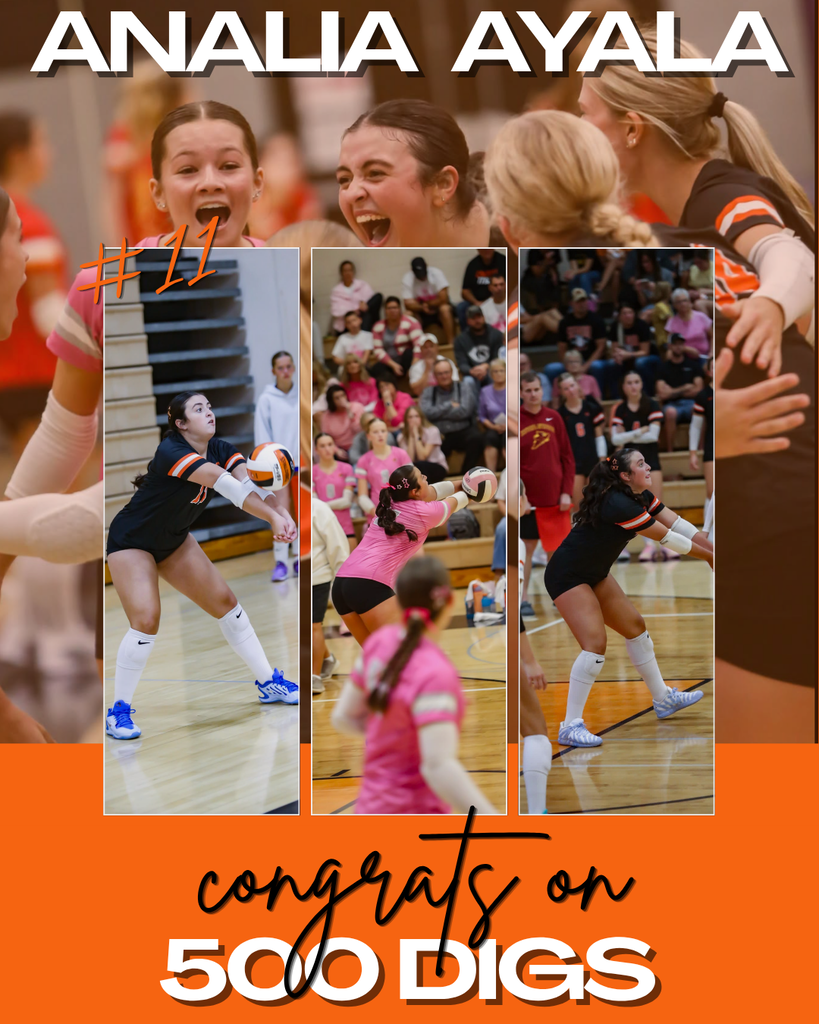 500 digs