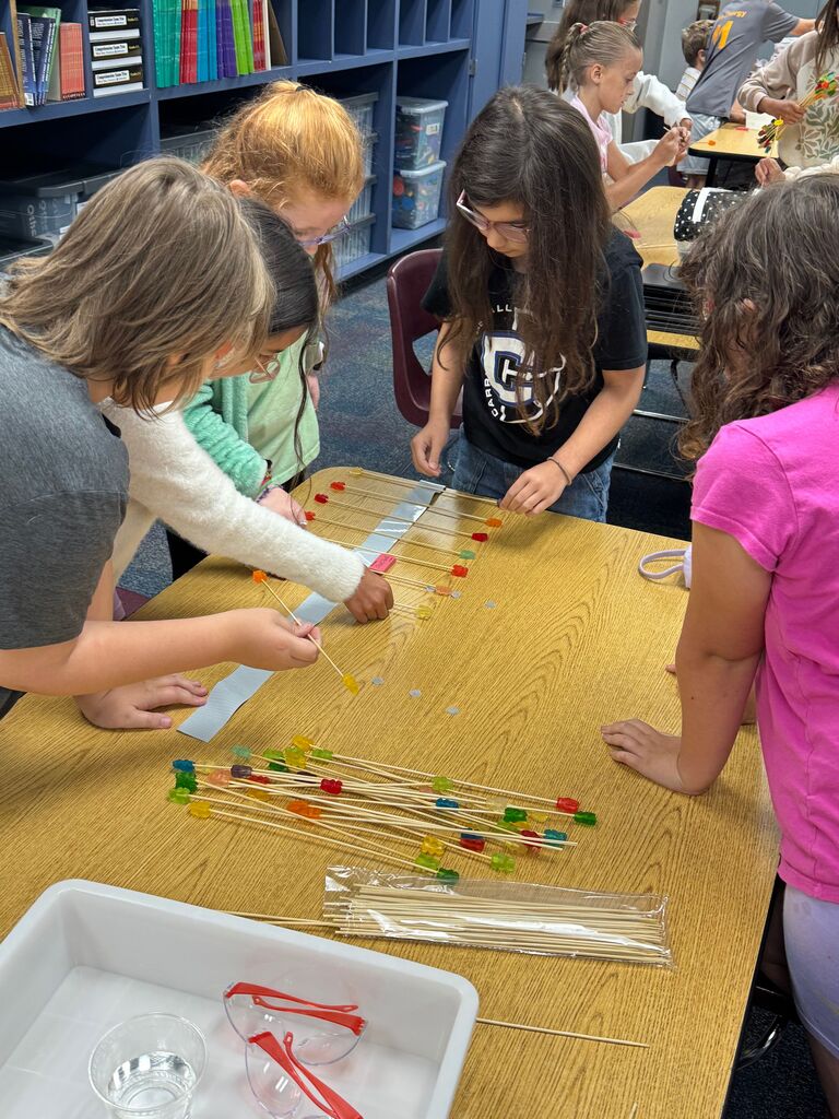 Grade 4 STEM