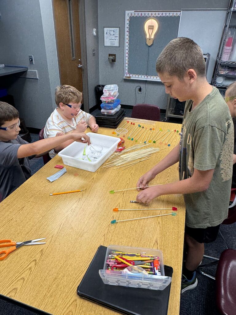 Grade 4 STEM 