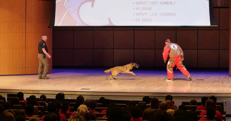 drug dog attacks a cop wearing a safety suit