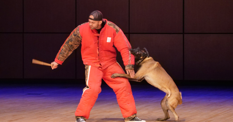 drug dog attacks a cop wearing a safety suit