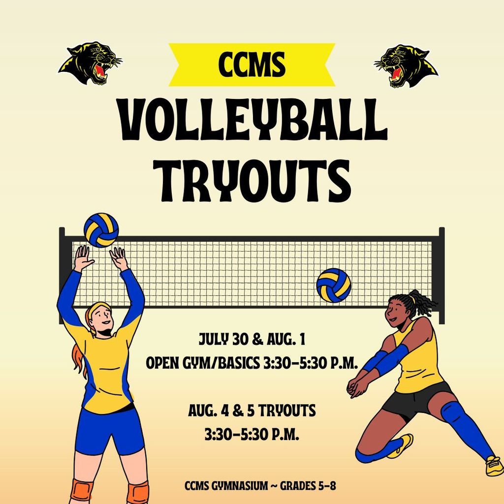volleyball flyer