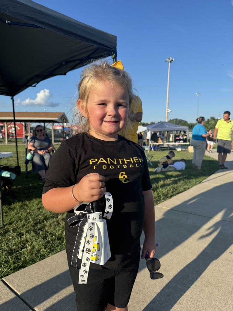 Panther fan