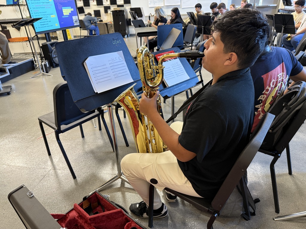 CCMS Band