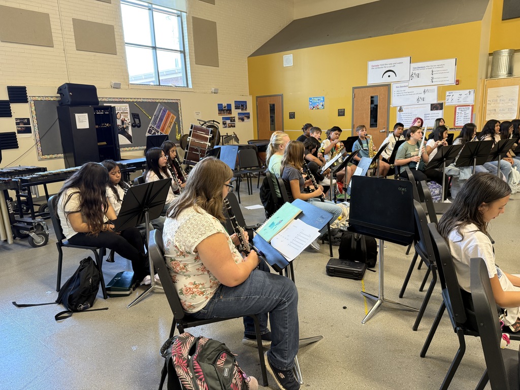 CCMS Band