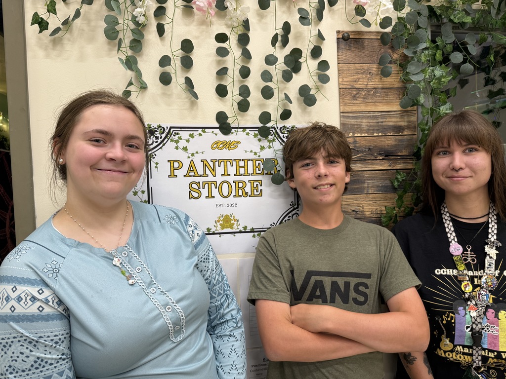 Panther Store
