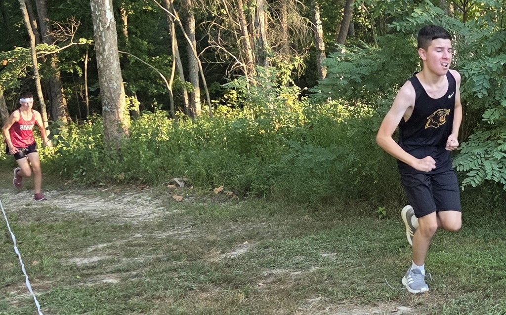 runner