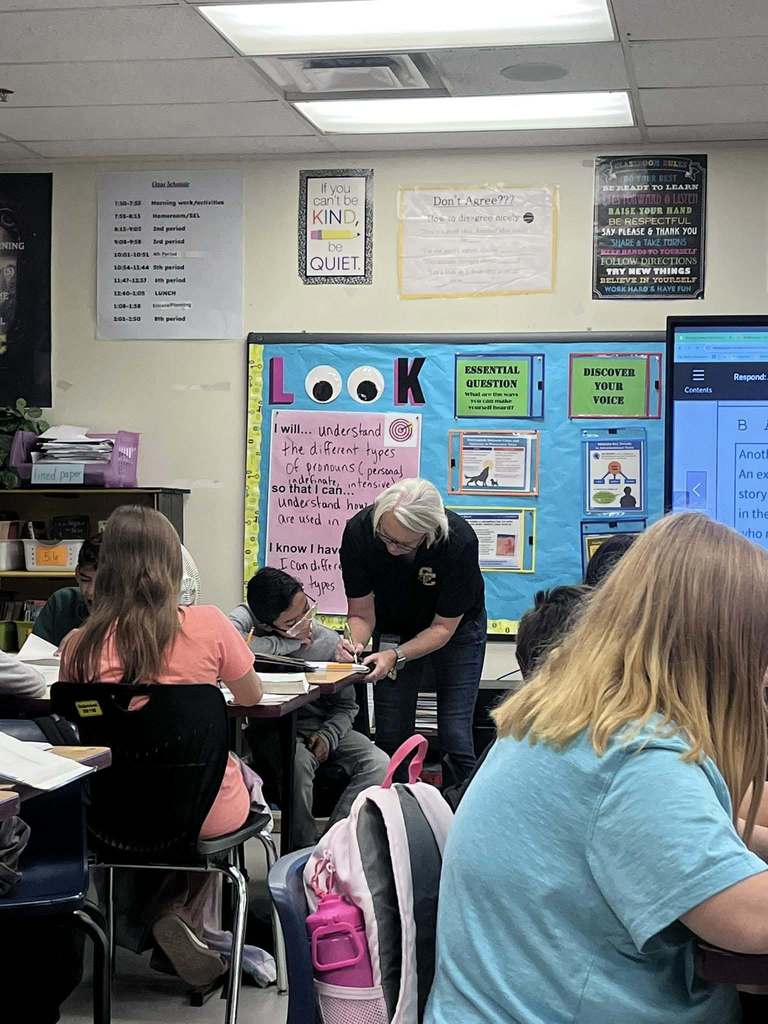 Co-Teaching