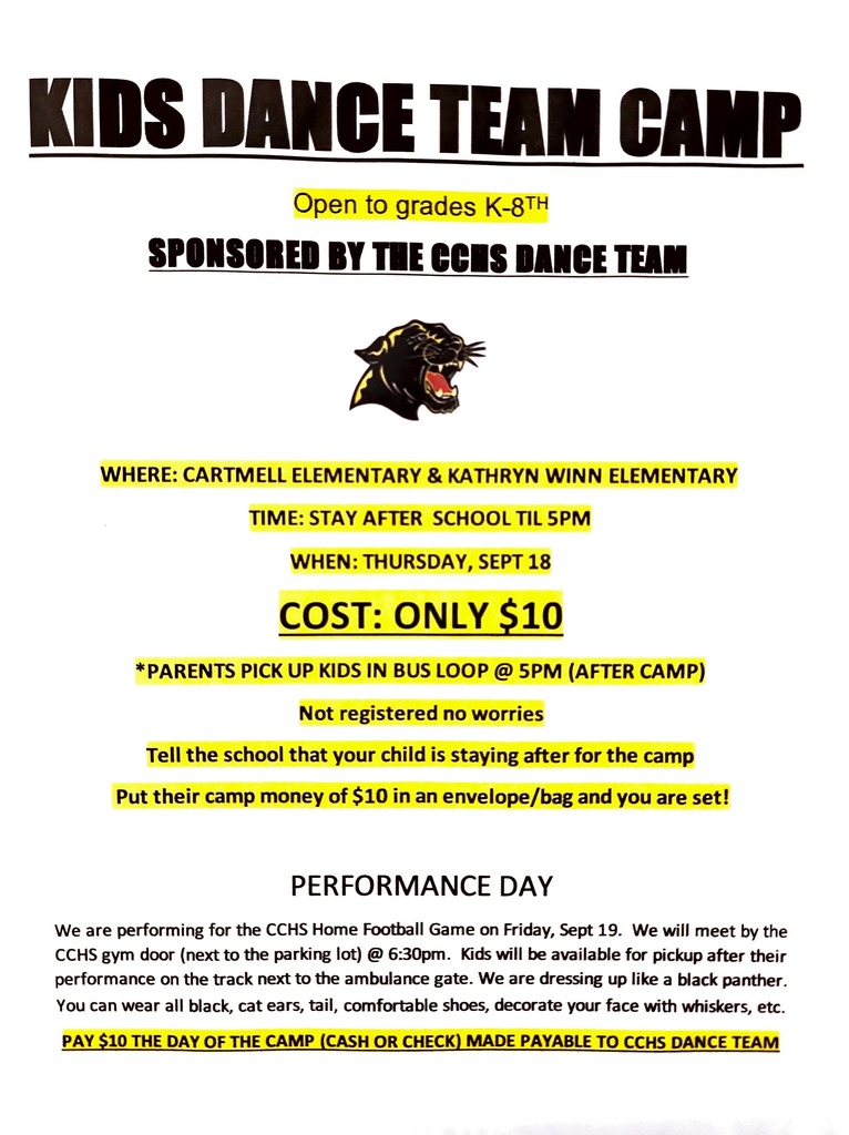 flyer