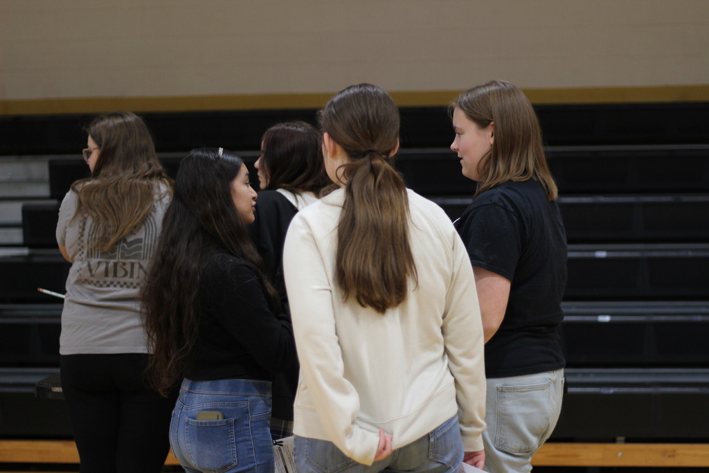 The eighth grade 4H reality fair.