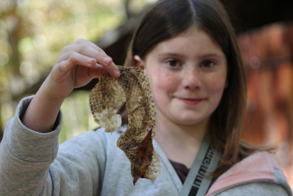 6th grade at Camp Kysoc