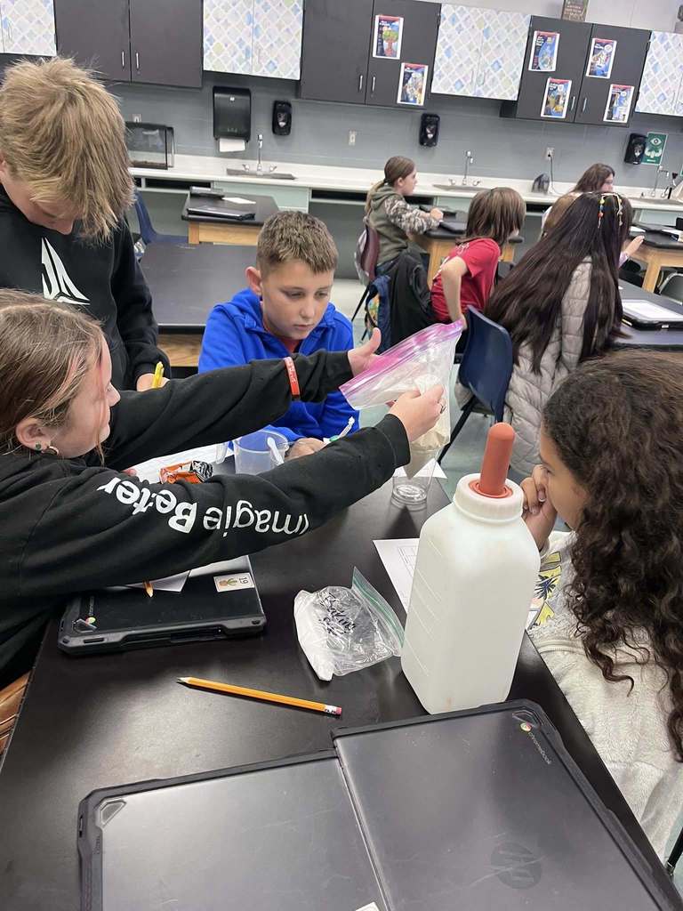 Students study science in Mrs. New's classrooom.