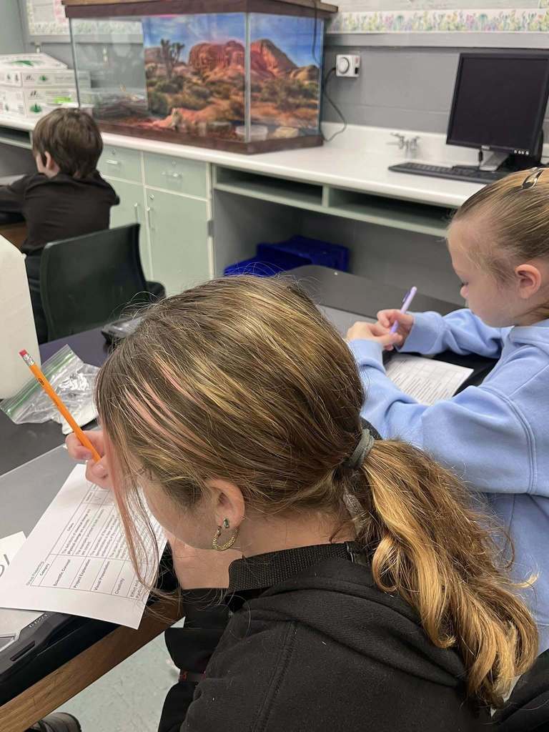 Students study science in Mrs. New's classrooom.