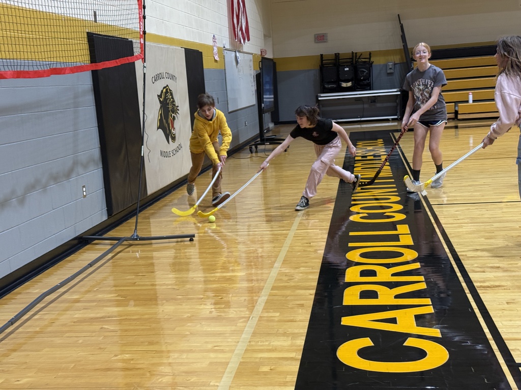 Students learning field hockey.