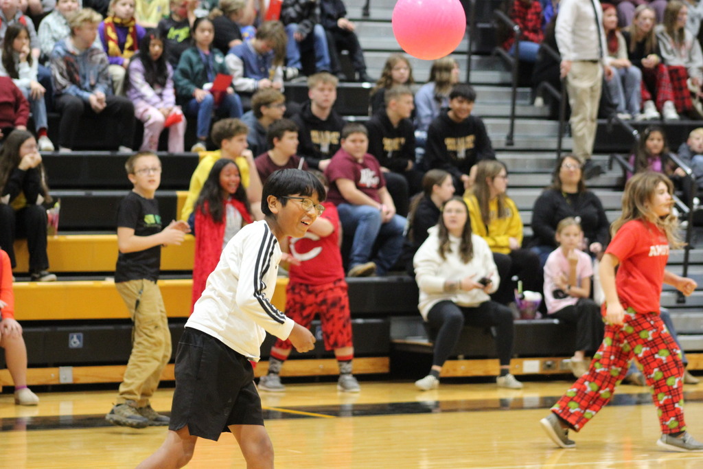 Hunger Games House Assembly Day